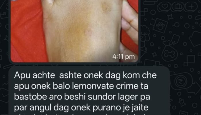 5bbe0211-2221-460d-a23c-e5b061205455